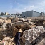 IMAGE 2024-03-08 7:14:18 am